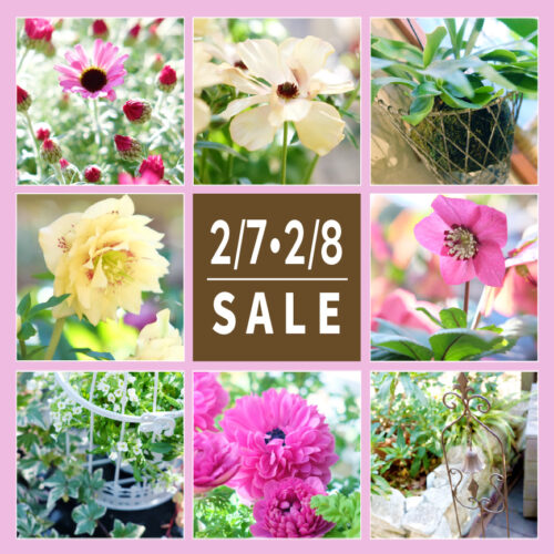 9%e3%82%b3%e3%83%9e%e6%9e%a0sns%e7%94%a82%e6%9c%88